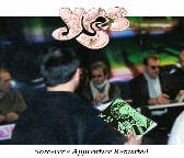 hollywood2001.jpg (6943 octets)