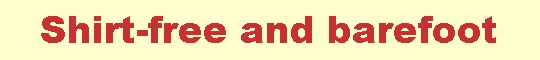 {short description of image}